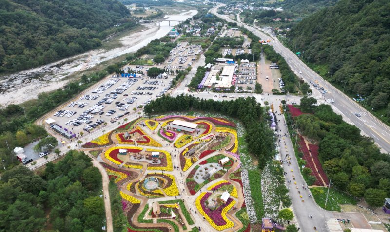 2025 가을꽃 축제.(인제군 제공. 재판매 및 DB금지)/뉴스1