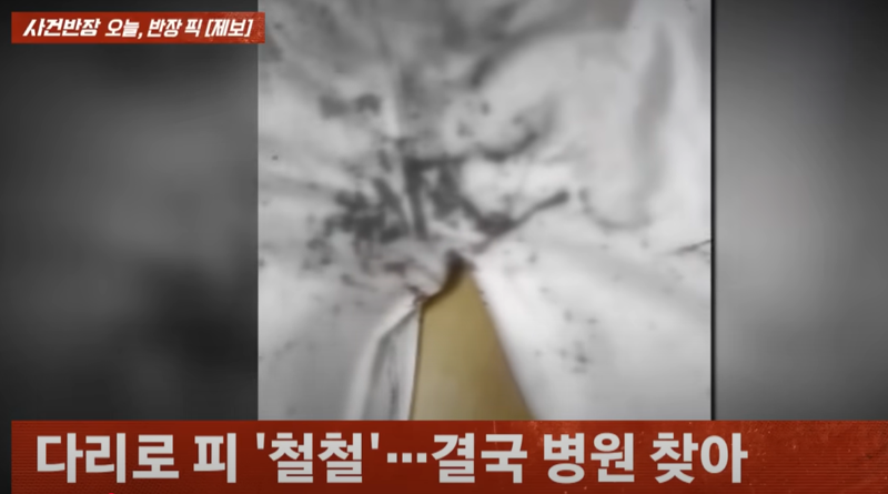 /사진=JTBC 사건반장 갈무리