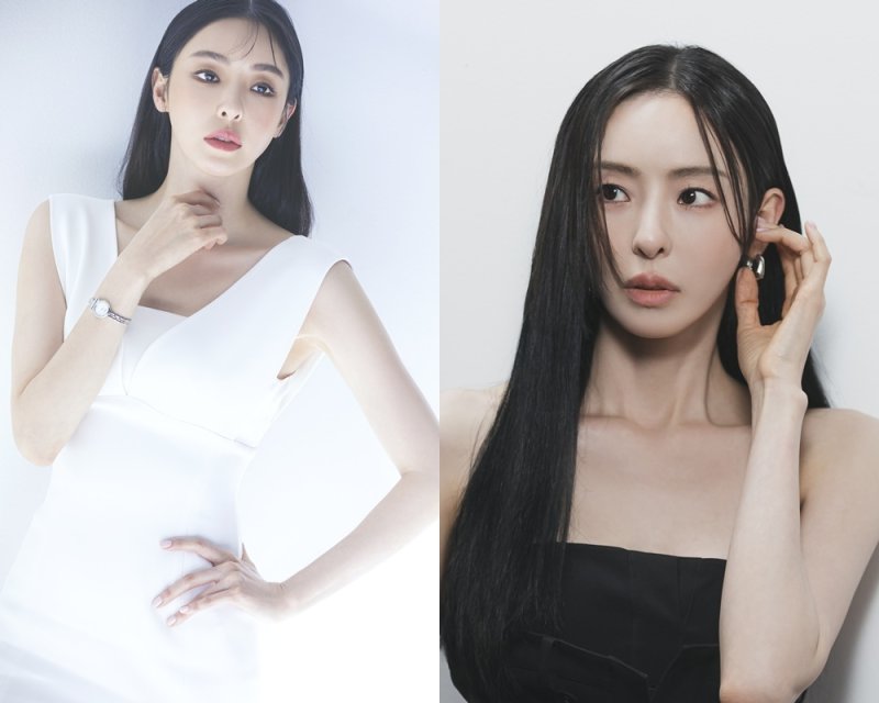 이다희, K-베이커리 서바이벌 '천하제빵' MC 발탁…내년 2월 방송