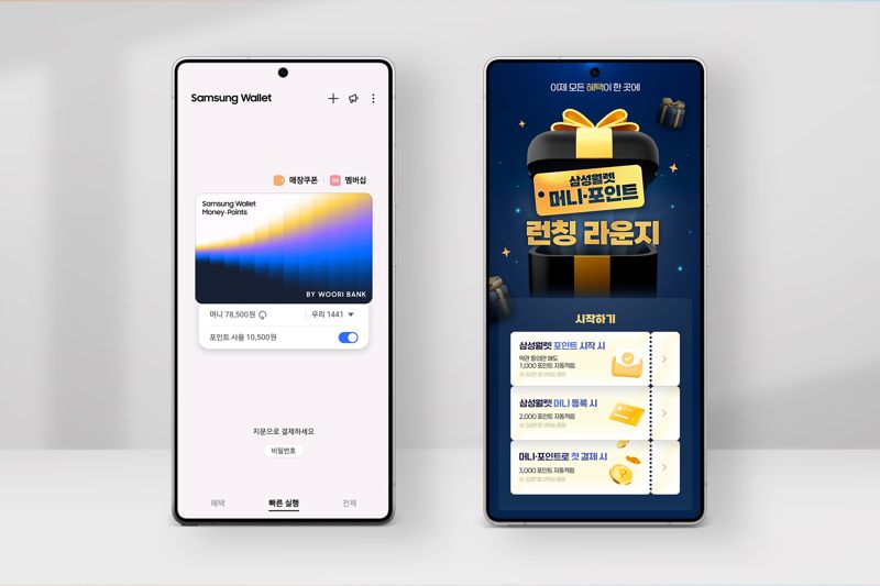 삼성월렛 머니·포인트 이미지. 삼성전자 제공