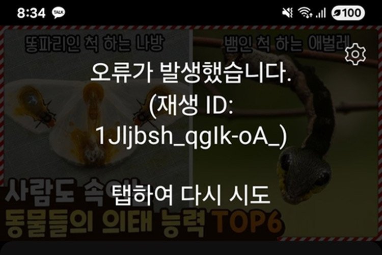 (출처=연합뉴스)