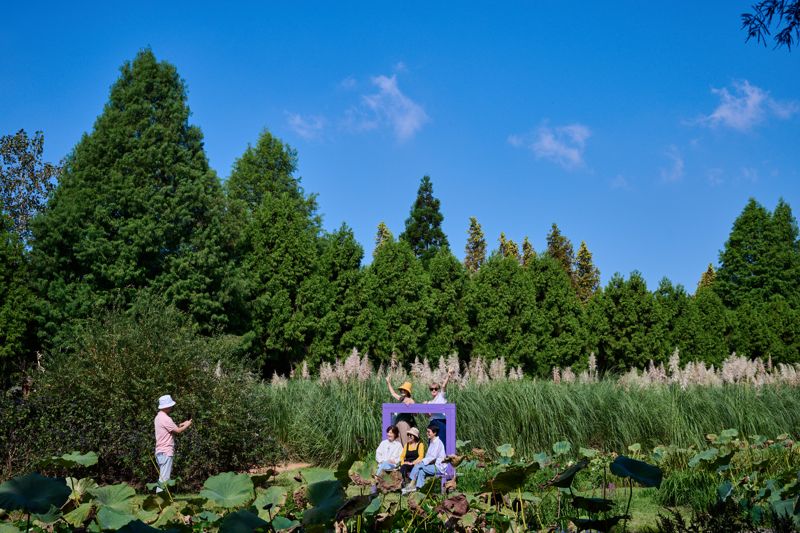 가을로 접어든 청산수목원