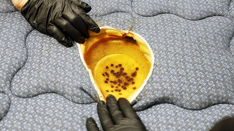 화재가 번지지 않고 스스로 소멸한 모습. 시몬스 제공