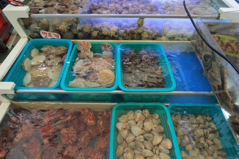 안면도수산시장