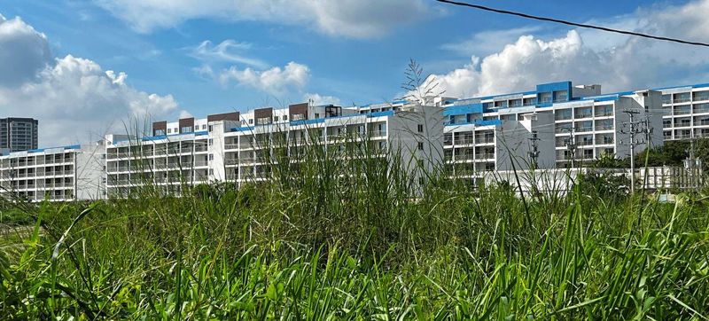 '캄보디아가 억울하다?' 그 호소, 맞지만 틀렸다