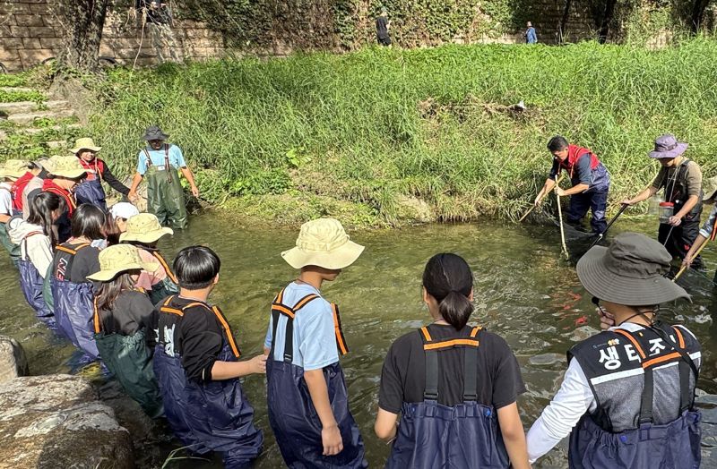 지난 17일 서울 청계천에서 LX판토스 임직원과 지역 어린이들이 청계천 민물고기 생태조사 활동을 진행하고 있다. LX판토스 제공