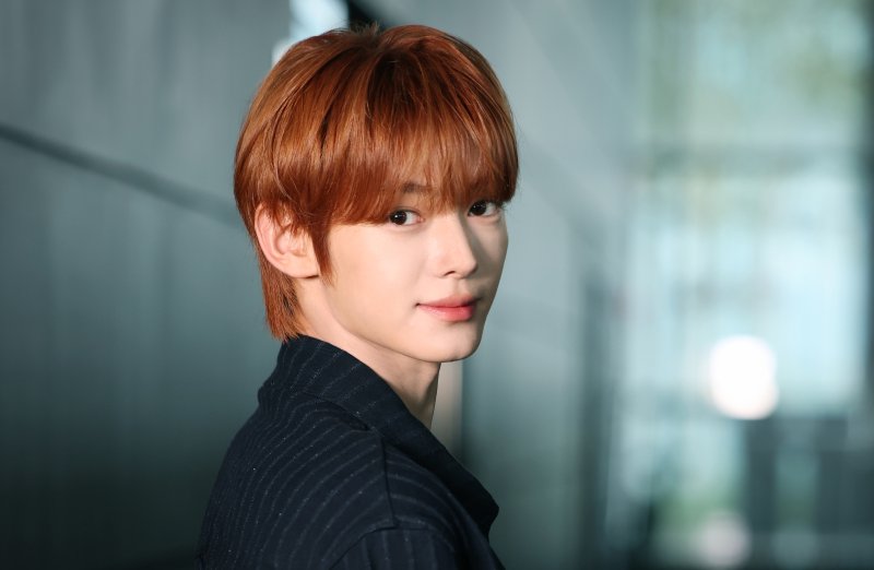 메이저 바카라사이트 장난감 메이저 바카라사이트 장난감 ⓒ News1 권현진 기자