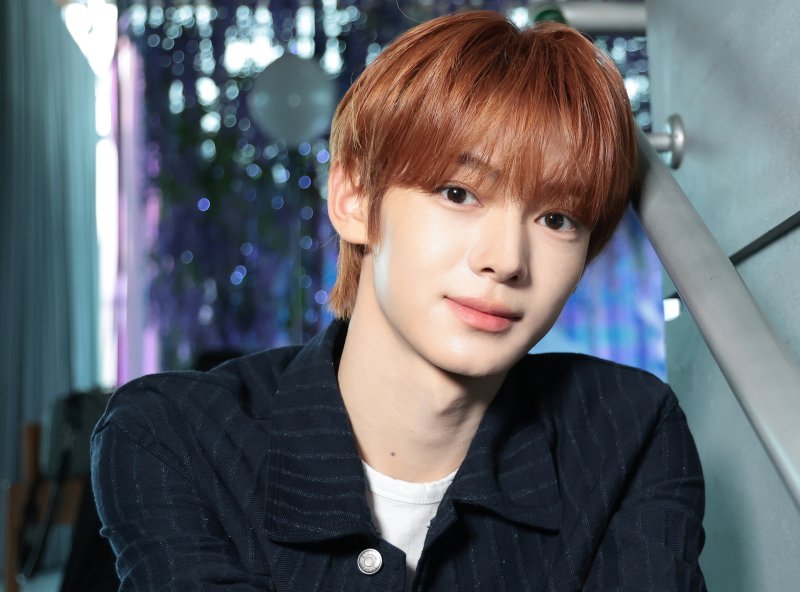 메이저 바카라사이트 장난감 메이저 바카라사이트 장난감 ⓒ News1 권현진 기자