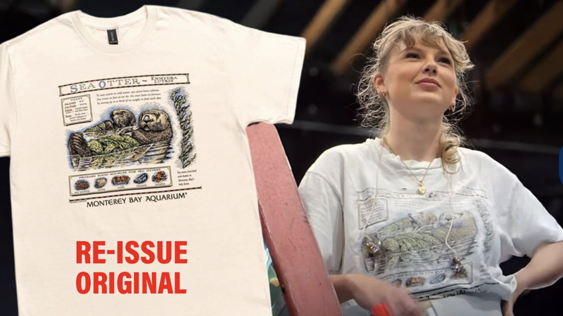 해달 그려진 빈티지 티셔츠 입은 테일러 스위프트, 그 후에... 반전