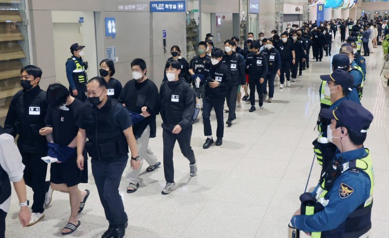 '지금 이 시국에…' 캄보디아행 티켓 끊은 이들의 정체