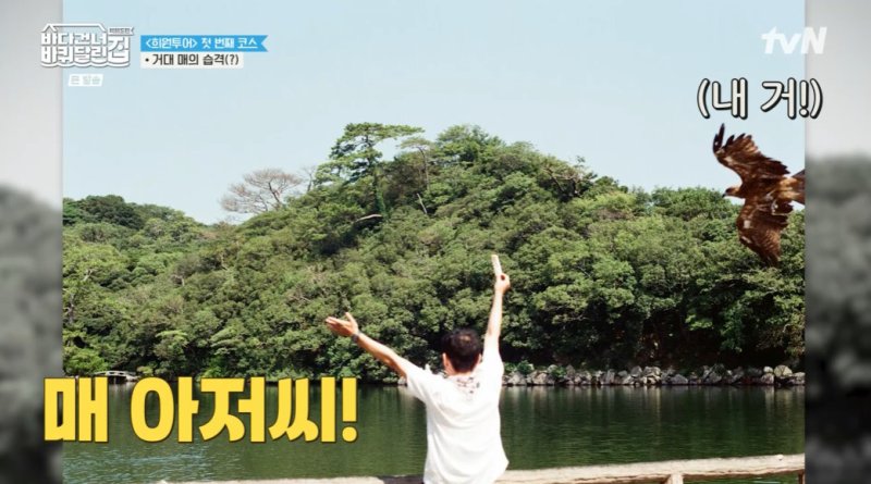 성동일, 매와 환상 호흡…얘네도 사람 가리네 [RE:TV]