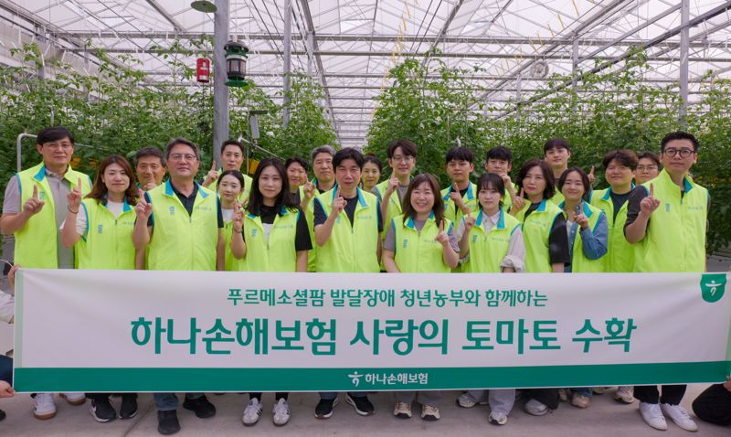 하나손해보험 제공