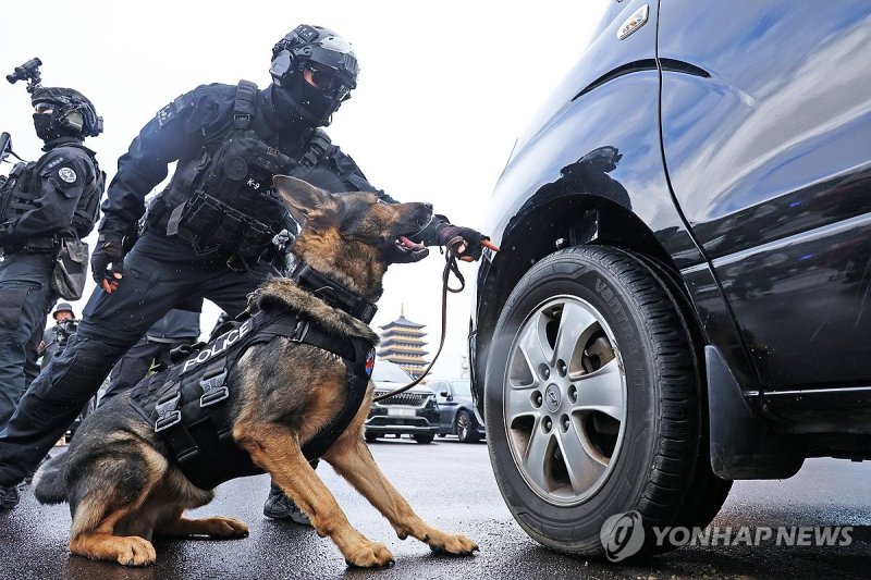 훈련 중 폭발물 발견한 탐지견 (출처=연합뉴스)