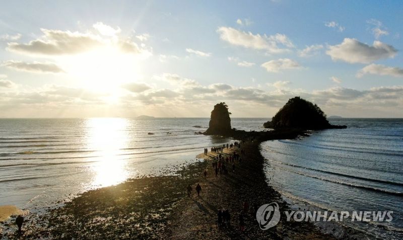 태안 해변서 발견된 남성 하반신 사체, DNA 검사했더니... 반전