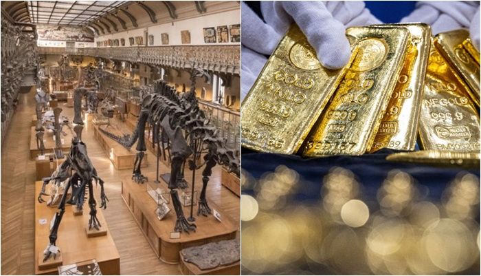 새벽 1시에 박물관 침입해 24억 어치 훔친 여성의 최후