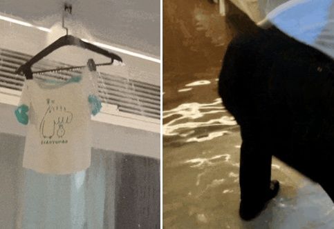 호텔 스프링클러에 옷 걸었다가 '물폭탄'... 배상금이 무려