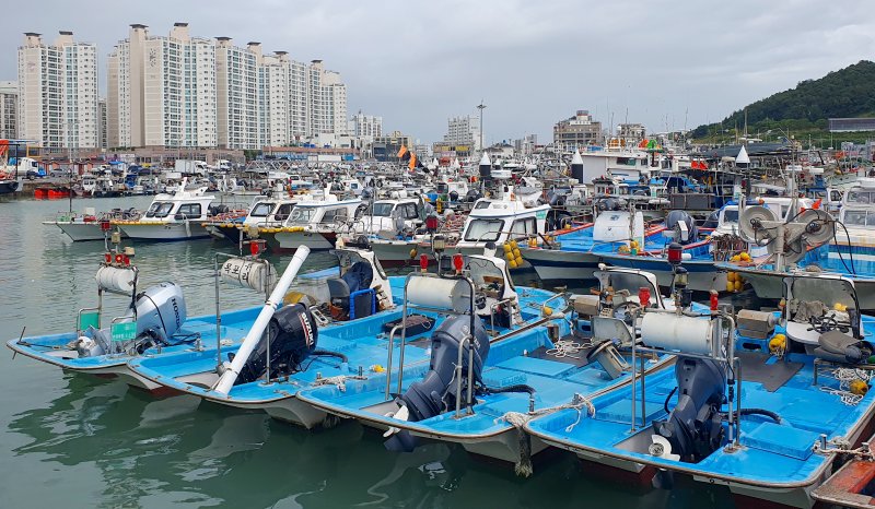[목포=뉴시스] 박상수 기자 = 전남 목포시 목포북항 부두에 어선들이 피항해 있다. 2024.08.20. parkss@newsis.com