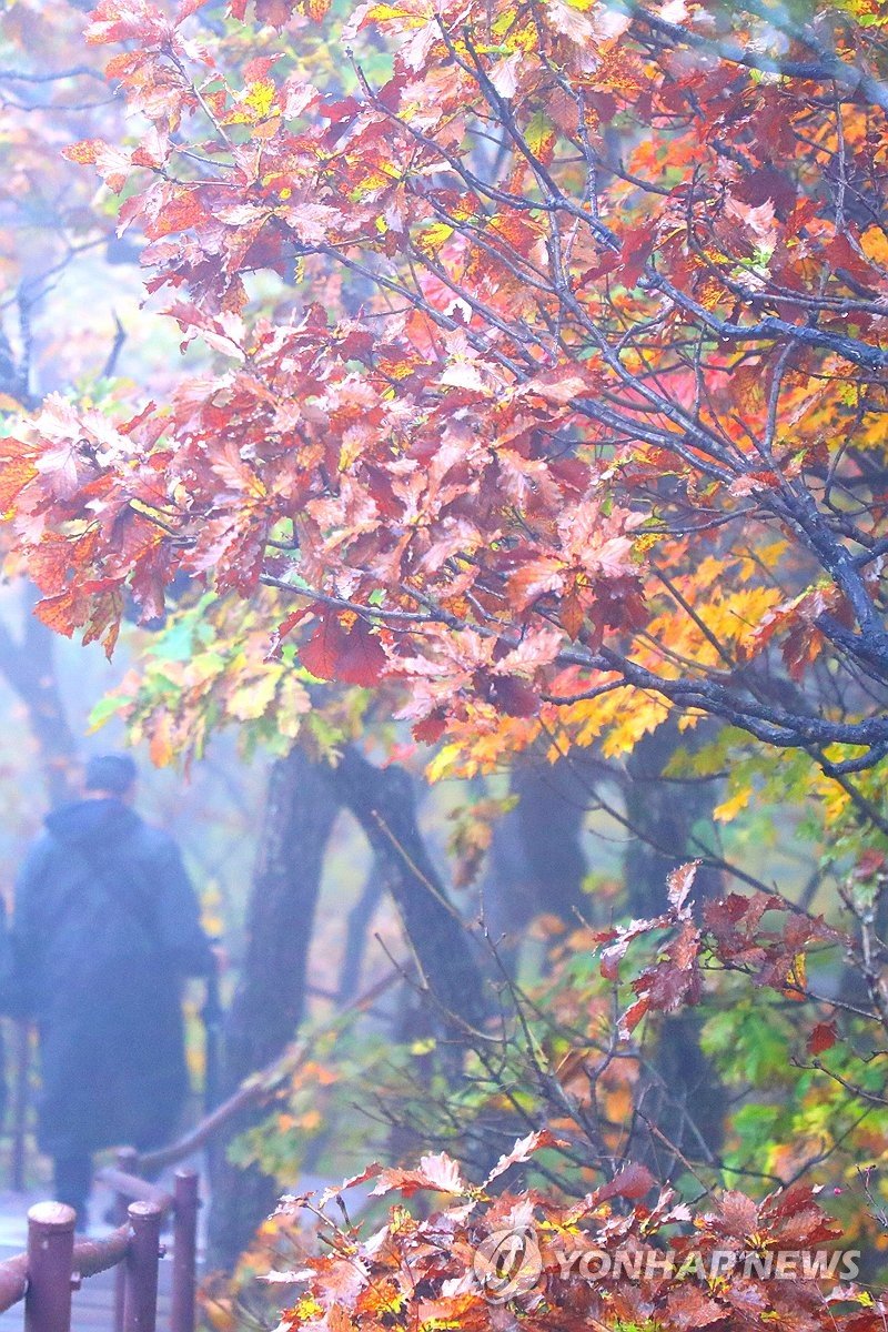 설악산 권금성까지 내려온 단풍 (출처=연합뉴스)