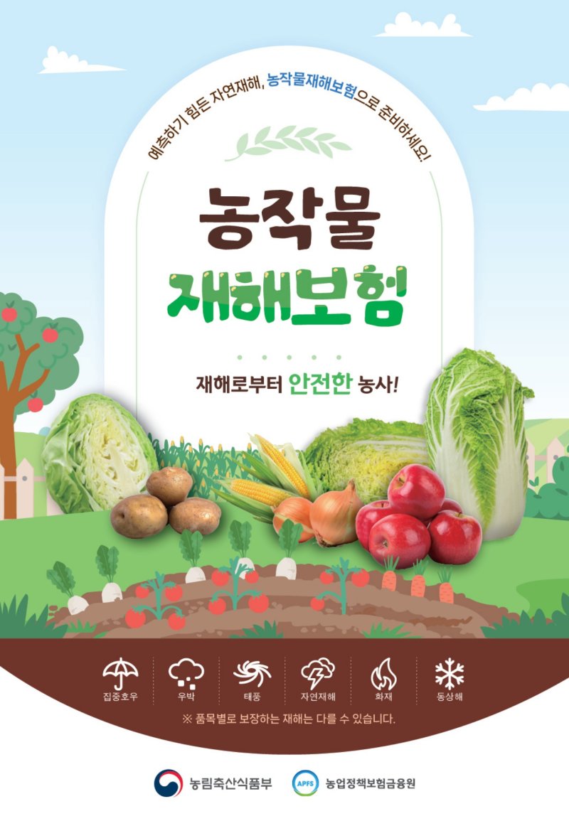 제천시, 양파·밀·보리 농작물 재해보험 가입 신청 접수.(제천시 제공. 재판매 및 DB금지)/뉴스1