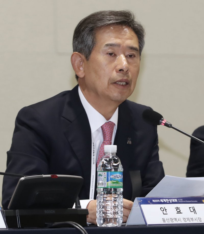 안효대 울산시경제부시장 /뉴스1 ⓒ News1 DB 윤일지 기자