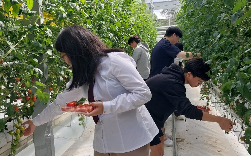 충북 진천교육지원청은 22일 중·고등학교 특수교육대상자를 대상으로 경기 여주시에 있는 국내 첫 장애인 스마트팜 ‘푸르메소셜팜’에서 진로직업 체험학습을 진행했다.(진천교육지원청 제공, 재판매 및 DB금지)/뉴스1