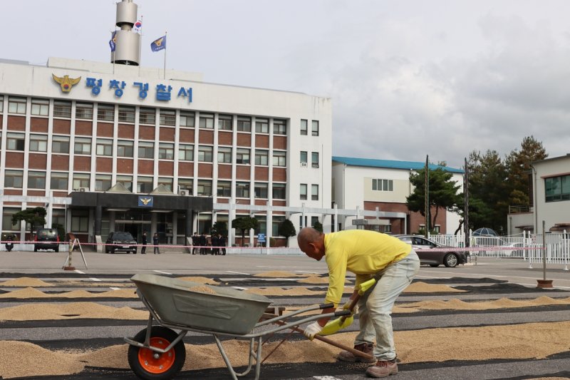 농산물 건조장으로 변신한 경찰서 주차장 (출처=연합뉴스)