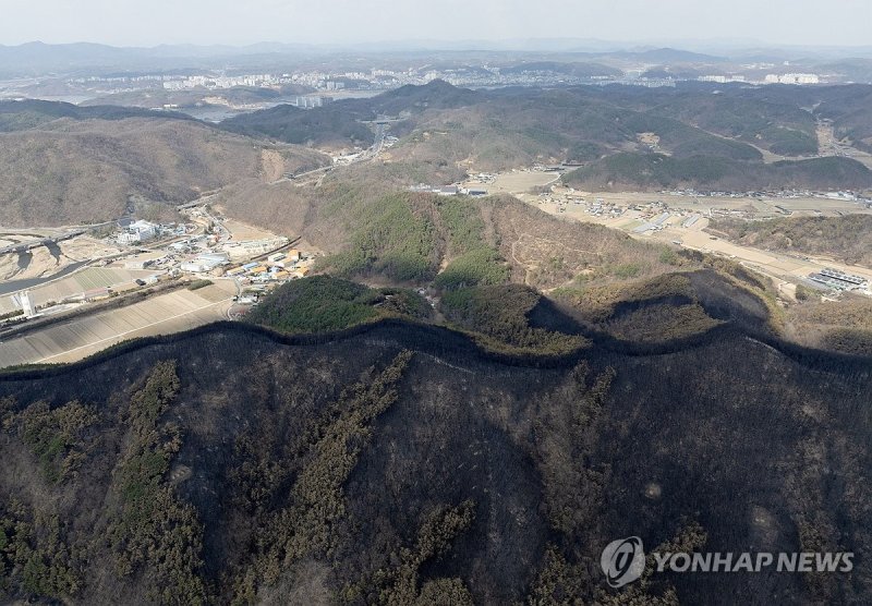 지난 3월 경북 안동시 남후면 일대 산들이 까맣게 타 있는 모습 (출처=연합뉴스)