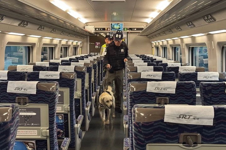 (출처=뉴시스/NEWSIS)