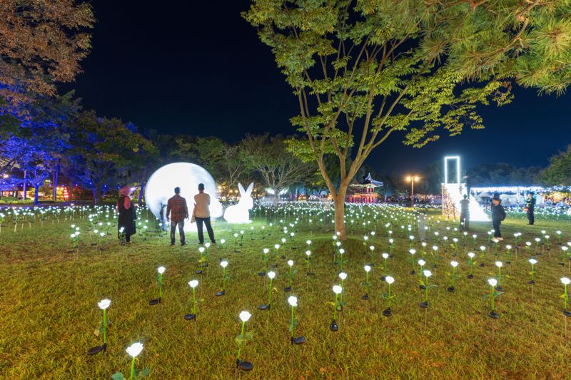 LED 장미가 가득한 광한루원 월궁 장미정원