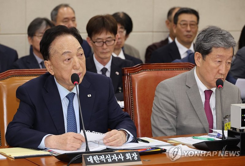 김철수 대한적십자사 회장 답변 (출처=연합뉴스)