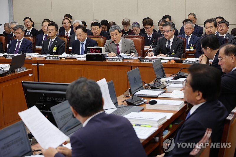 차순도 한국보건산업진흥원장 답변 (출처=연합뉴스)