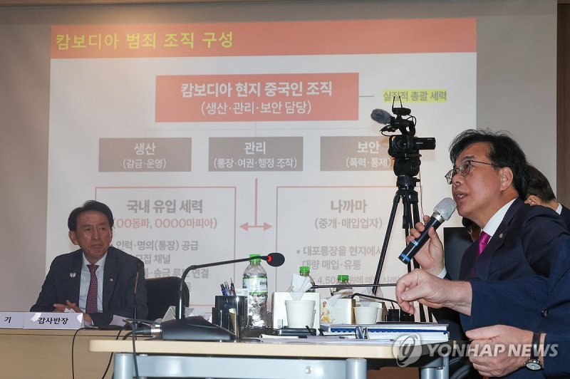 캄보디아 범죄조직 관련 질의하는 송언석 원내대표 (출처=연합뉴스)