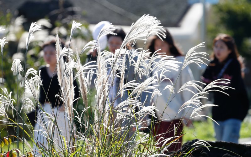 (출처=뉴시스/NEWSIS)