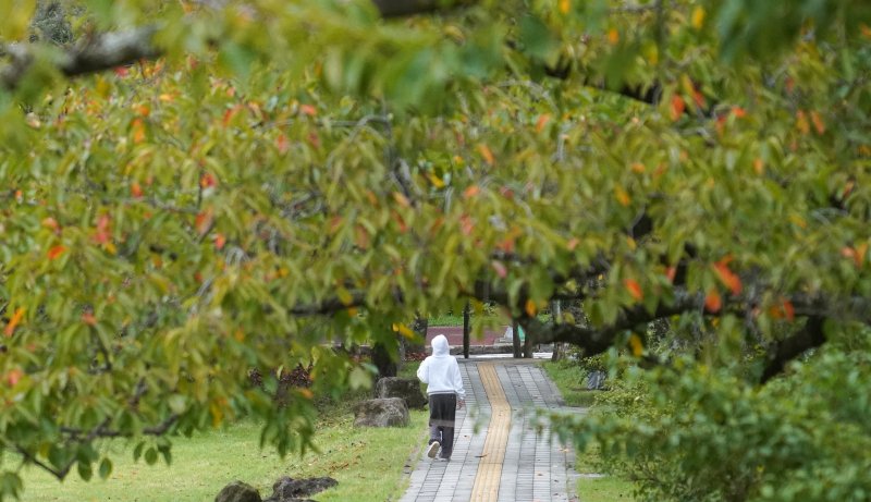 (출처=뉴시스/NEWSIS)