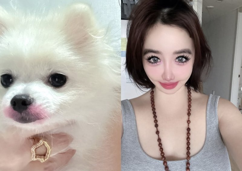 박봄, 천문학적 금액 속 YG 양현석 고소 직후 올린 게시물은 [N샷]