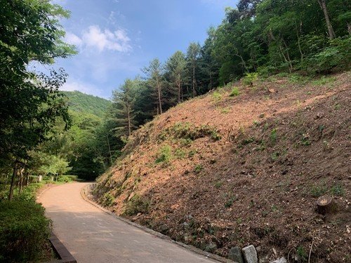 상당산성 옛길 급경사지 (출처=연합뉴스)