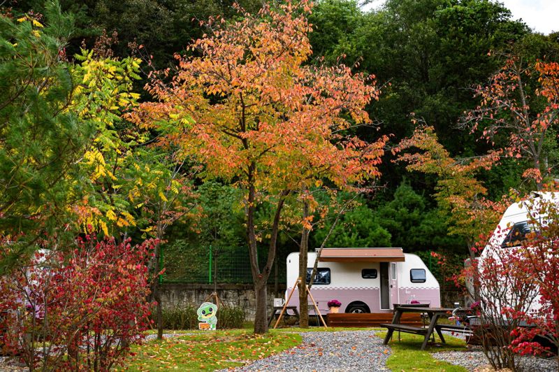 봉화군 청량산 수원캠핑장. 수원시 제공