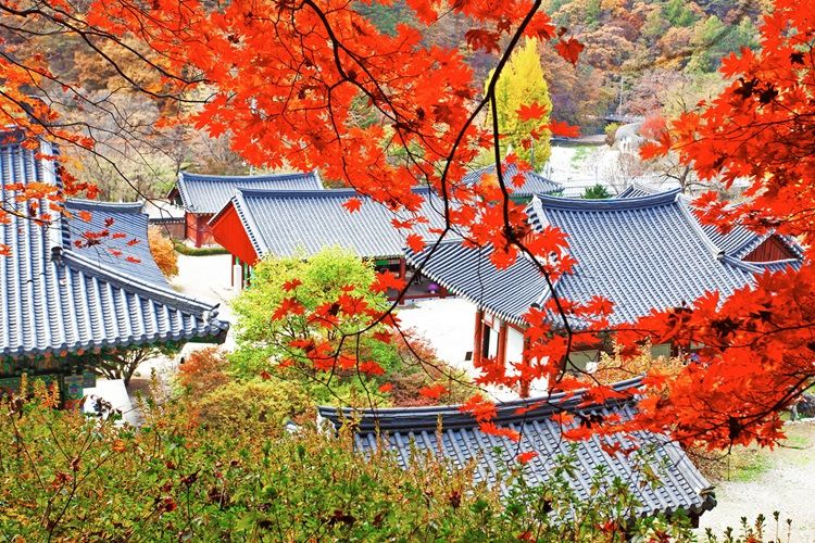 강원 홍천군 수타사 가을 전경. 홍천군 제공