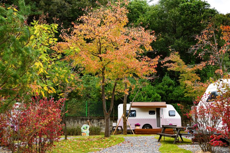 청량산 수원캠핑장 개장 (출처=연합뉴스)