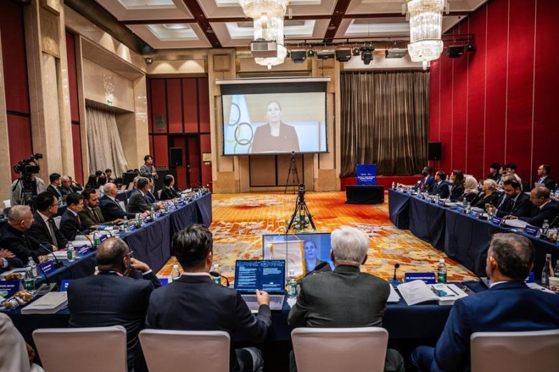 세계태권도연맹 집행위원회 회의 모습. (출처=연합뉴스)