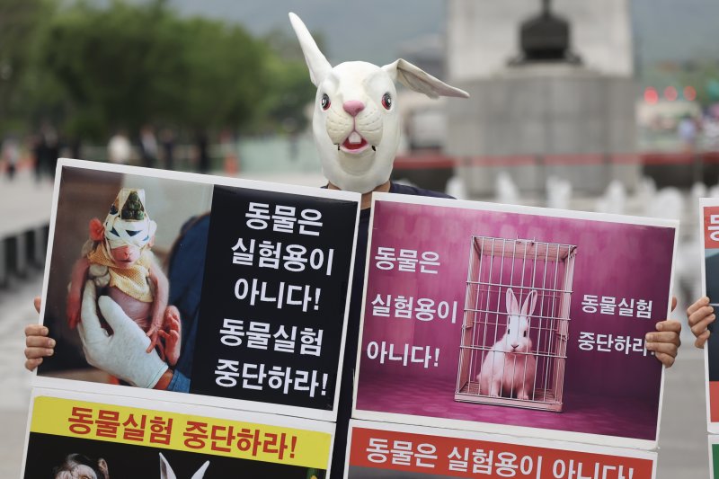 [서울=뉴시스] 김명년 기자 = 한국동물보호연합 회원들이 10일 오후 서울 종로구 광화문광장에서 동물실험 중단 촉구 기자회견을 하고 있다. 농림축산검역본부에 따르면 작년 한해 460여만마리가 동물실험에 사용됐으며 10년 250만마리였던 것과 비교해 200만마리 이상이 늘어났다. 2025.06.10. kmn@newsis.com