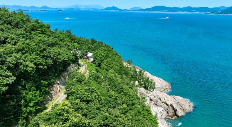 약산 치유의 숲 (출처=연합뉴스)