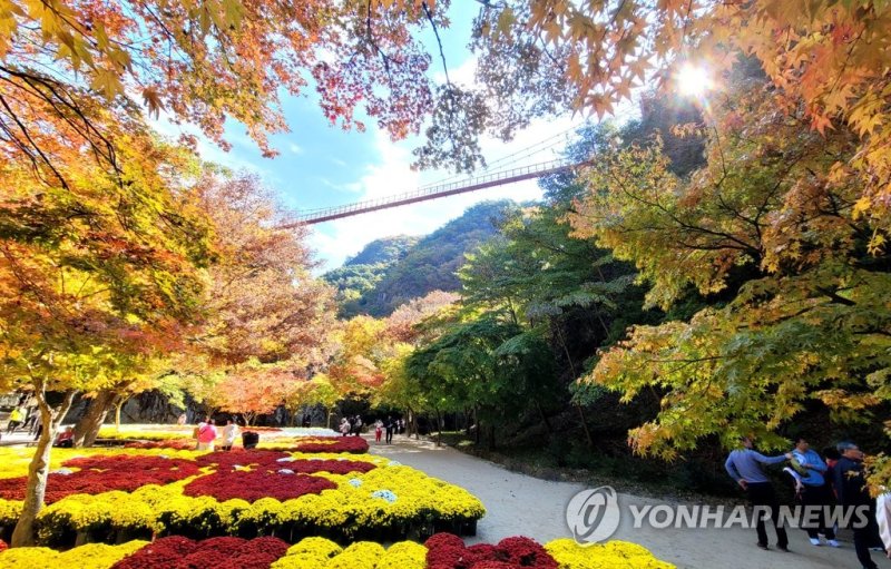 강천산 가을 단풍 (출처=연합뉴스)