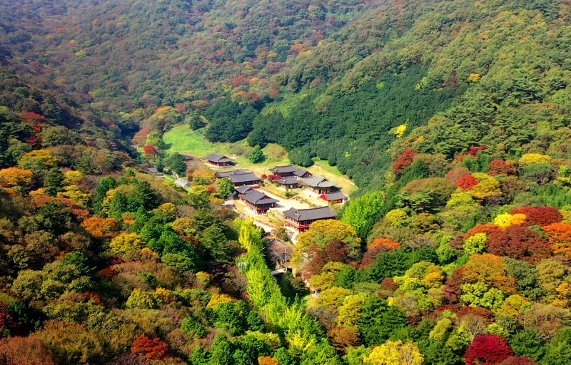 [나주=뉴시스] 나주시 다도면 덕룡산 자락에 자리한 천년고찰 불회사 일대 울창한 산림이 울긋불긋한 한 폭의 수채화를 연상시키는 단풍으로 물들어 가고 있다. (사진=나주시 제공) 2020.10.29photo@newsis.com