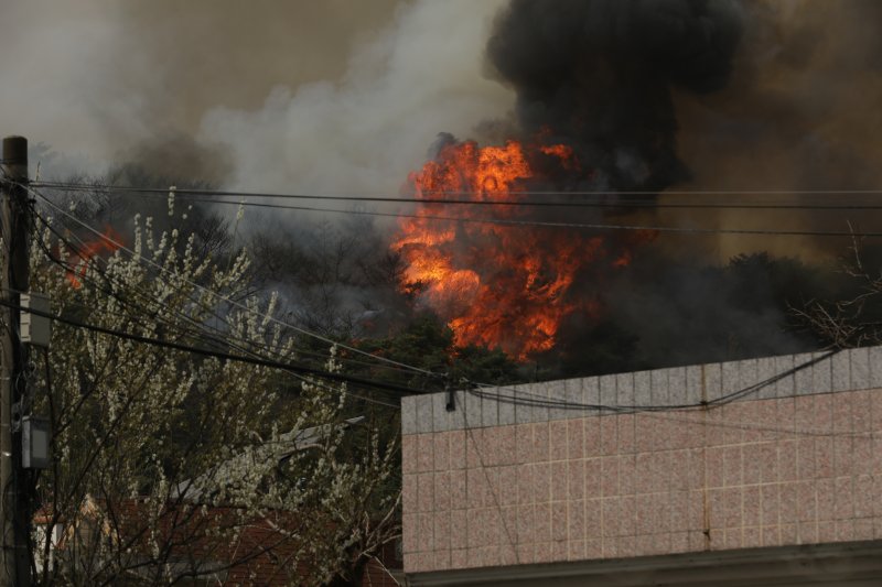 지난 3월 울산시 울주군 언양읍 송대리 화장산에서 불이 나 검은 연기가 피어오르고 있다. 2025.3.25/뉴스1 ⓒ News1 DB