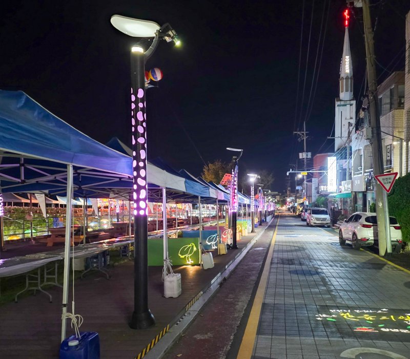 [창녕=뉴시스] 비사벌문화제 대비 창녕읍 주요 가로등·보안등을 점검하고 있다. (사진= 창녕군 제공) 2025.10.23. photo@newsis.com *재판매 및 DB 금지