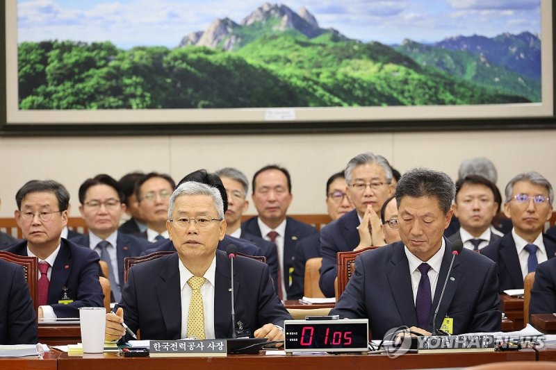 답변하는 김동철 한국전력공사 사장 (출처=연합뉴스)