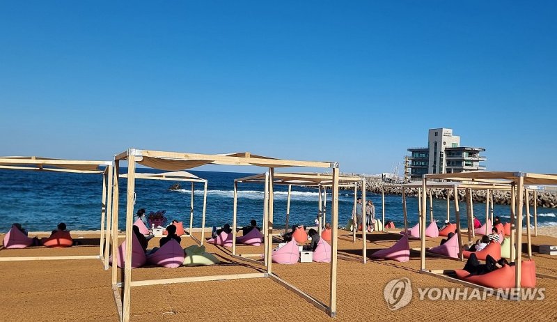 바다를 보며 마시는 커피 한잔 (출처=연합뉴스)