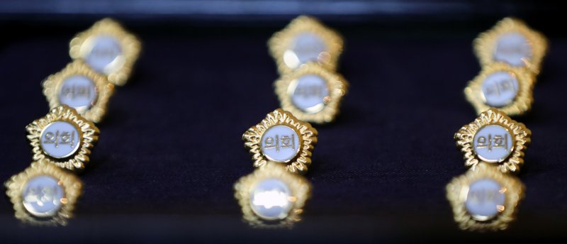 대구 중구 출연기관인 도심재생문화재단이 내년도 출연금을 받을 수 없게 됐다. 사진은 지방의원 배지. 뉴스1 ⓒ News1 자료 사진