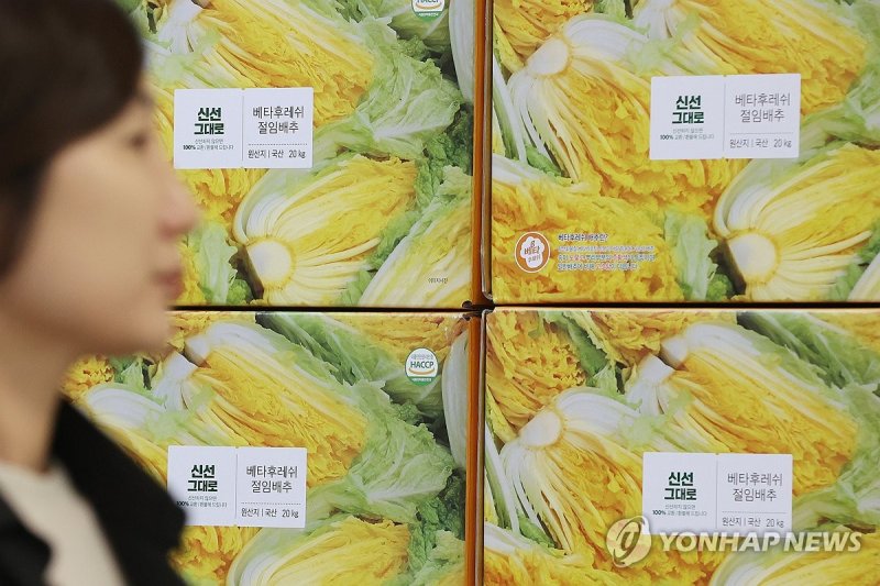 절임배추 예약판매 시작 (출처=연합뉴스)